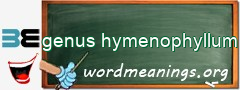 WordMeaning blackboard for genus hymenophyllum